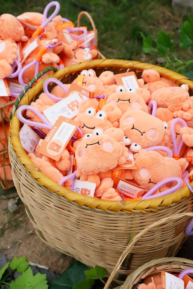 冰箱贴缘何成了“社交货币”PG麻将胡了江南观察 小小